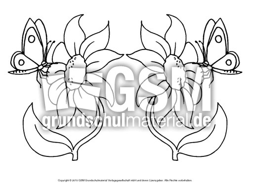 Ausmalbild-Schmetterling 14.pdf